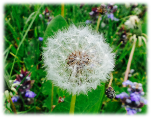Hintergrundbild